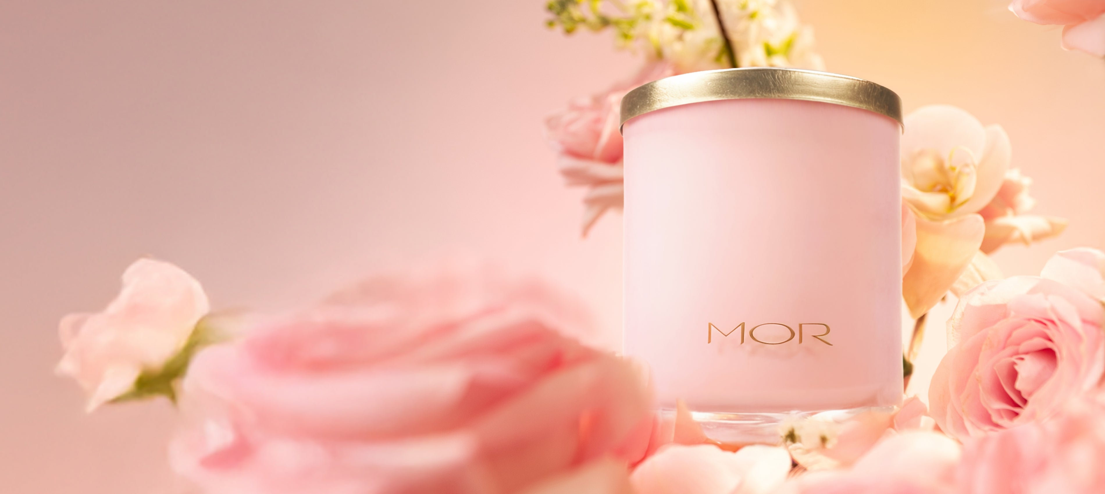 New Arrivals – MOR